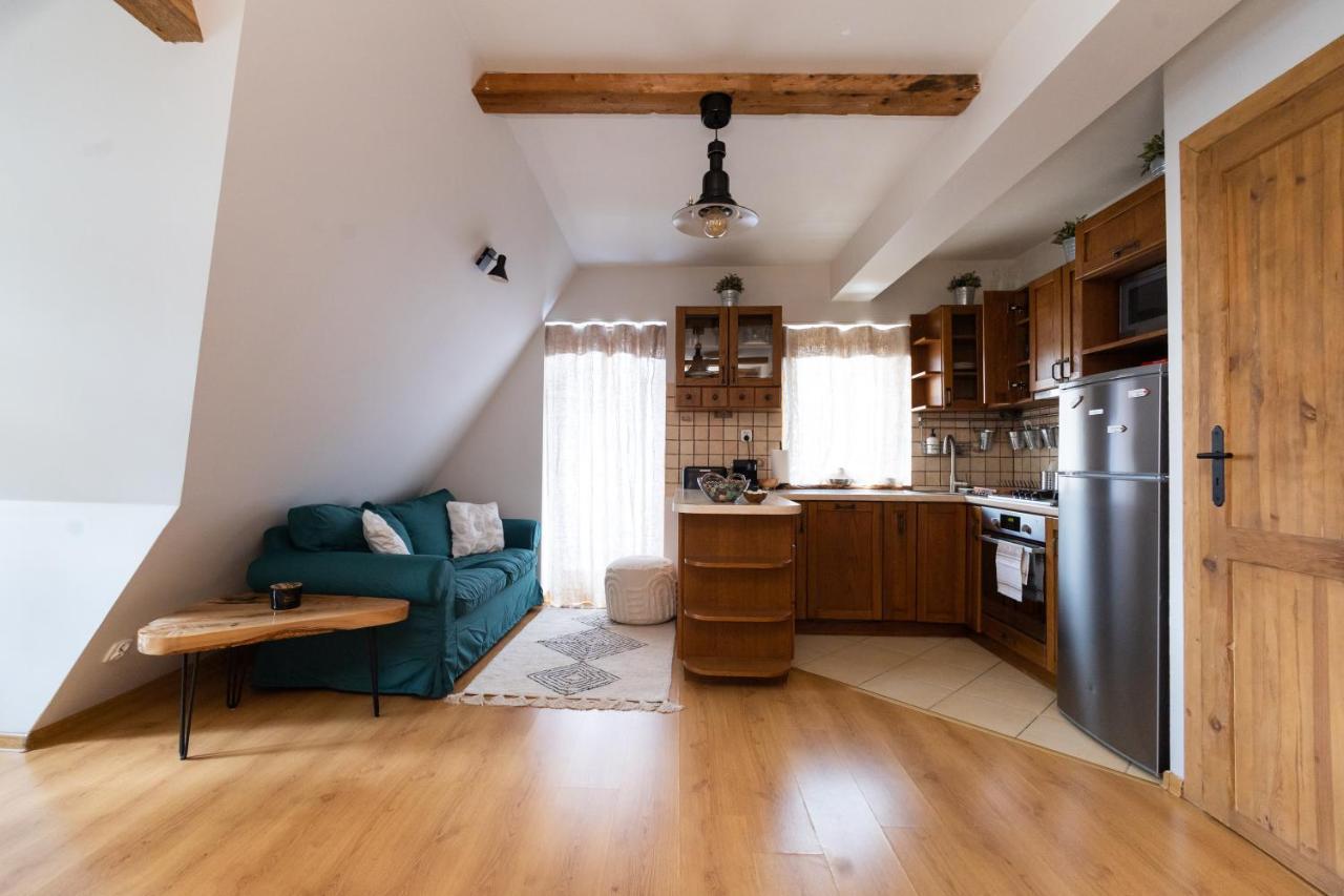 Apartament Blisko Szlaku Zakopane Apartment Екстериор снимка